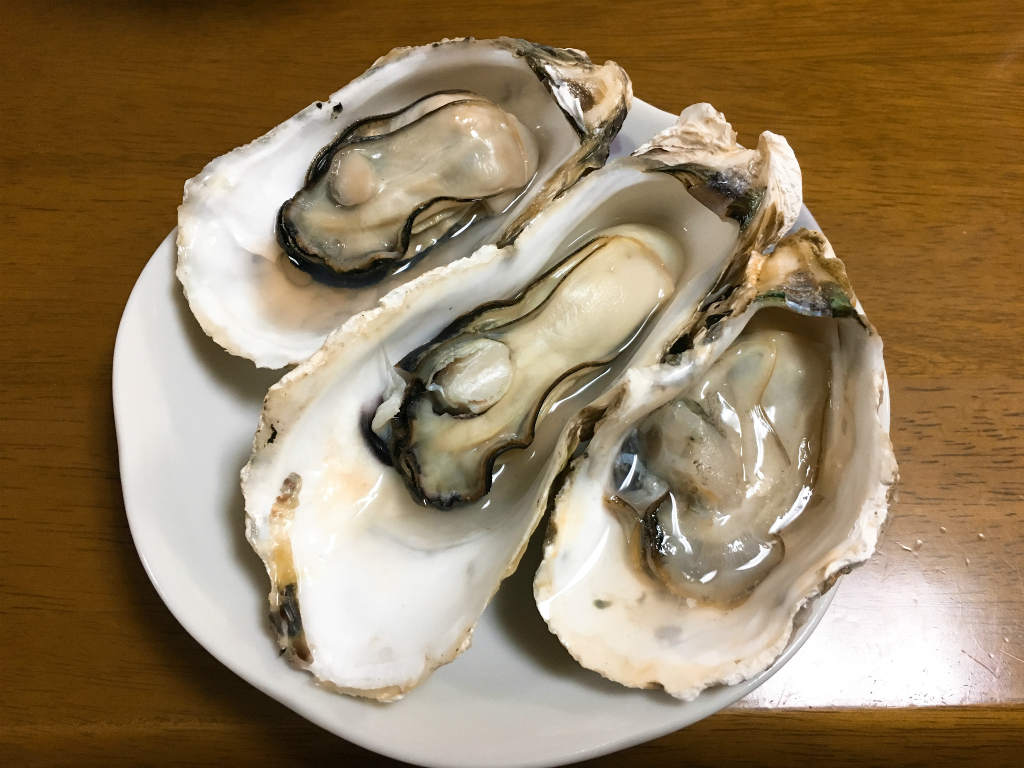 九十九島の牡蠣　2019　9